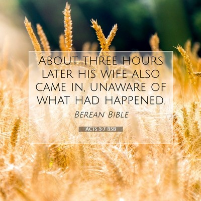 Picture 07 - Acts 5:7 BSB - About three hours later his wife also came in, - Bible Verse Picture
