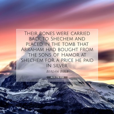 Picture 07 - Acts 7:16 BSB - Their bones were carried back to Shechem and - Bible Verse Picture