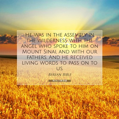 Picture 07 - Acts 7:38 BSB - He was in the assembly in the wilderness with the - Bible Verse Picture