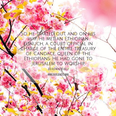 Picture 07 - Acts 8:27 BSB - So he started out, and on his way he met an - Bible Verse Picture