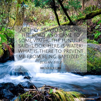 Picture 07 - Acts 8:36 BSB - As they traveled along the road and came to some - Bible Verse Picture