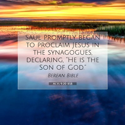 Picture 07 - Acts 9:20 BSB - Saul promptly began to proclaim Jesus in the - Bible Verse Picture