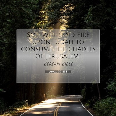 Picture 07 - Amos 2:5 BSB - So I will send fire upon Judah to consume the - Bible Verse Picture