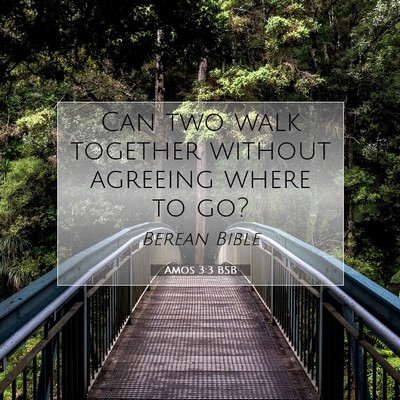 Picture 07 - Amos 3:3 BSB - Can two walk together without agreeing where to - Bible Verse Picture