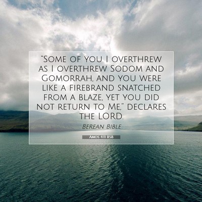 Picture 07 - Amos 4:11 BSB - “Some of you I overthrew as I overthrew Sodom - Bible Verse Picture