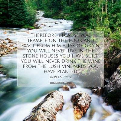 Picture 07 - Amos 5:11 BSB - Therefore, because you trample on the poor and - Bible Verse Picture