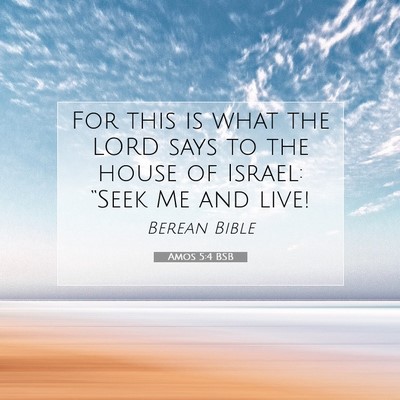 Picture 07 - Amos 5:4 BSB - For this is what the LORD says to the house of - Bible Verse Picture