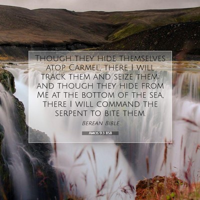 Picture 07 - Amos 9:3 BSB - Though they hide themselves atop Carmel, there I - Bible Verse Picture