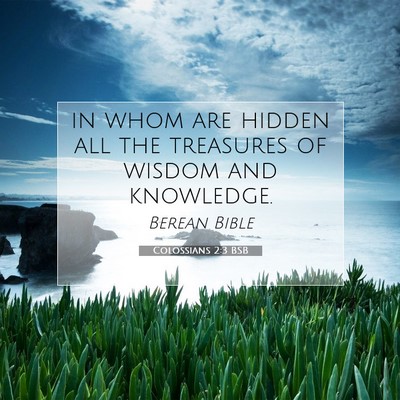 Picture 07 - Colossians 2:3 BSB - in whom are hidden all the treasures of wisdom - Bible Verse Picture