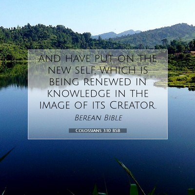 Picture 07 - Colossians 3:10 BSB - and have put on the new self, which is being - Bible Verse Picture