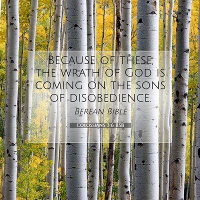 Picture 07 - Colossians 3:6 BSB - Because of these, the wrath of God is coming on - Bible Verse Picture