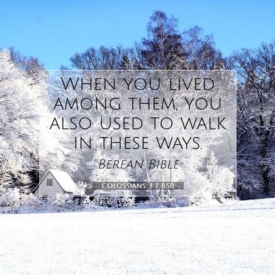 Picture 07 - Colossians 3:7 BSB - When you lived among them, you also used to walk - Bible Verse Picture