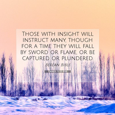 Picture 07 - Daniel 11:33 BSB - Those with insight will instruct many, though for - Bible Verse Picture