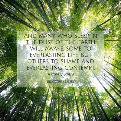 Picture 07 - Daniel 12:2 BSB - And many who sleep in the dust of the earth will - Bible Verse Picture