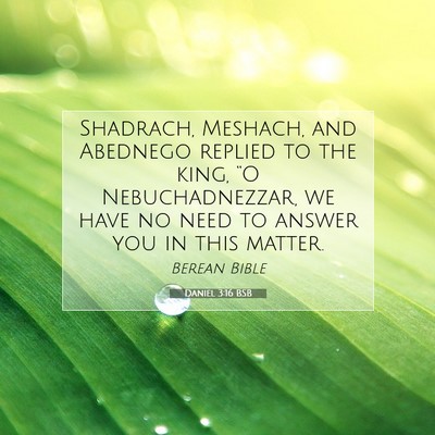 Picture 07 - Daniel 3:16 BSB - Shadrach, Meshach, and Abednego replied to the - Bible Verse Picture
