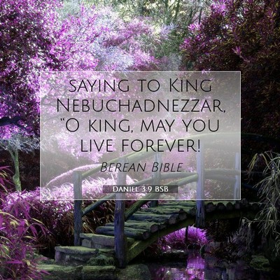 Picture 07 - Daniel 3:9 BSB - saying to King Nebuchadnezzar, “O king, may you - Bible Verse Picture