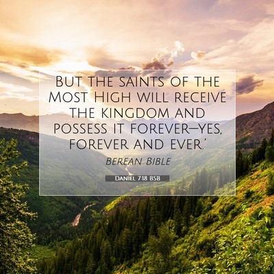 Picture 07 - Daniel 7:18 BSB - But the saints of the Most High will receive the - Bible Verse Picture