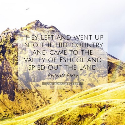 Picture 07 - Deuteronomy 1:24 BSB - They left and went up into the hill country, and - Bible Verse Picture