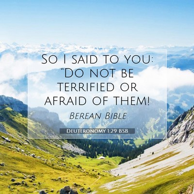 Picture 07 - Deuteronomy 1:29 BSB - So I said to you: “Do not be terrified or - Bible Verse Picture