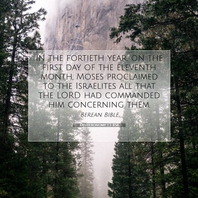 Picture 07 - Deuteronomy 1:3 BSB - In the fortieth year, on the first day of the - Bible Verse Picture
