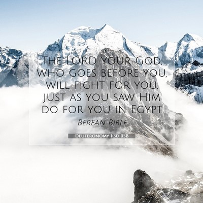 Picture 07 - Deuteronomy 1:30 BSB - The LORD your God, who goes before you, will - Bible Verse Picture