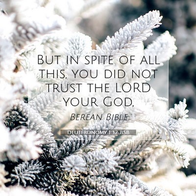Picture 07 - Deuteronomy 1:32 BSB - But in spite of all this, you did not trust the - Bible Verse Picture