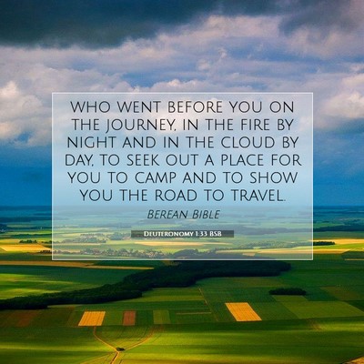 Picture 07 - Deuteronomy 1:33 BSB - who went before you on the journey, in the fire - Bible Verse Picture