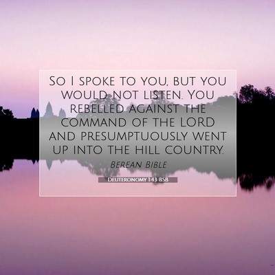 Picture 07 - Deuteronomy 1:43 BSB - So I spoke to you, but you would not listen. You - Bible Verse Picture