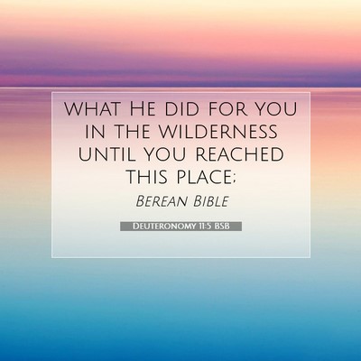 Picture 07 - Deuteronomy 11:5 BSB - what He did for you in the wilderness until you - Bible Verse Picture