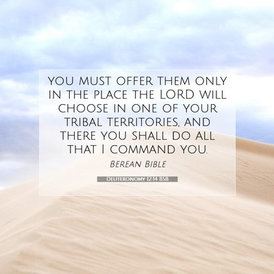 Picture 07 - Deuteronomy 12:14 BSB - you must offer them only in the place the LORD - Bible Verse Picture