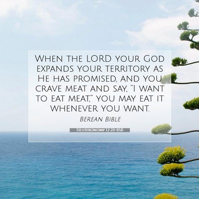 Picture 07 - Deuteronomy 12:20 BSB - When the LORD your God expands your territory as - Bible Verse Picture