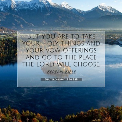 Picture 07 - Deuteronomy 12:26 BSB - But you are to take your holy things and your vow - Bible Verse Picture