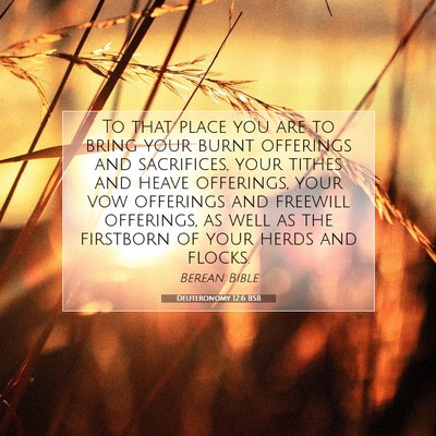 Picture 07 - Deuteronomy 12:6 BSB - To that place you are to bring your burnt - Bible Verse Picture