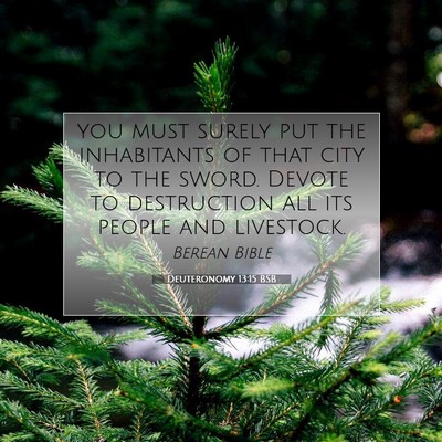 Picture 07 - Deuteronomy 13:15 BSB - you must surely put the inhabitants of that city - Bible Verse Picture