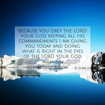 Picture 07 - Deuteronomy 13:18 BSB - because you obey the LORD your God, keeping all - Bible Verse Picture