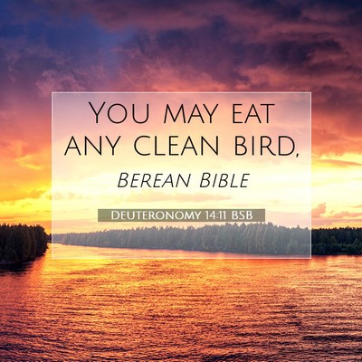 Picture 07 - Deuteronomy 14:11 BSB - You may eat any clean - Bible Verse Picture