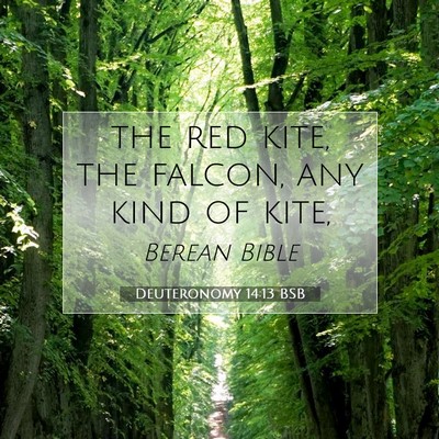Picture 07 - Deuteronomy 14:13 BSB - the red kite, the falcon, any kind of - Bible Verse Picture