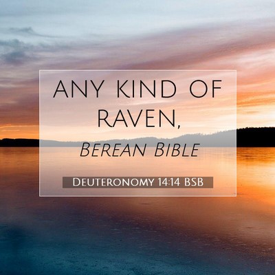 Picture 07 - Deuteronomy 14:14 BSB - any kind of - Bible Verse Picture