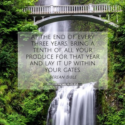 Picture 07 - Deuteronomy 14:28 BSB - At the end of every three years, bring a tenth of - Bible Verse Picture