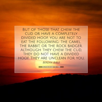 Picture 07 - Deuteronomy 14:7 BSB - But of those that chew the cud or have a - Bible Verse Picture