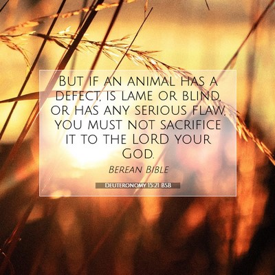 Picture 07 - Deuteronomy 15:21 BSB - But if an animal has a defect, is lame or blind, - Bible Verse Picture