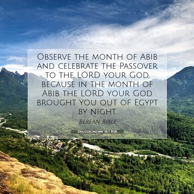 Picture 07 - Deuteronomy 16:1 BSB - Observe the month of Abib and celebrate the - Bible Verse Picture
