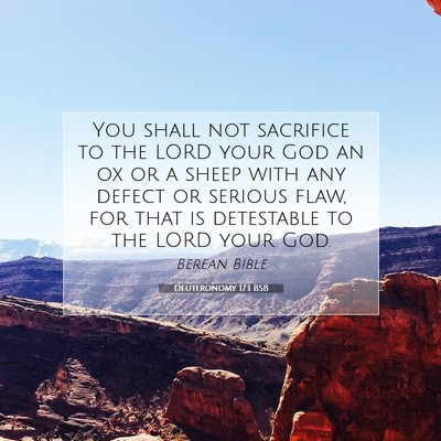 Picture 07 - Deuteronomy 17:1 BSB - You shall not sacrifice to the LORD your God an - Bible Verse Picture