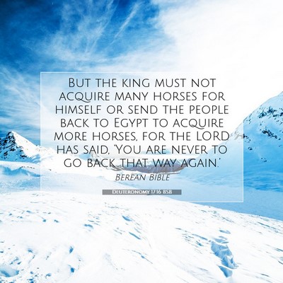 Picture 07 - Deuteronomy 17:16 BSB - But the king must not acquire many horses for - Bible Verse Picture