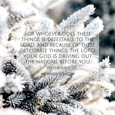 Picture 07 - Deuteronomy 18:12 BSB - For whoever does these things is detestable to - Bible Verse Picture