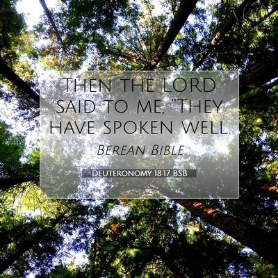 Picture 07 - Deuteronomy 18:17 BSB - Then the LORD said to me, “They have spoken - Bible Verse Picture
