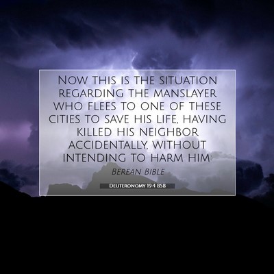 Picture 07 - Deuteronomy 19:4 BSB - Now this is the situation regarding the manslayer - Bible Verse Picture