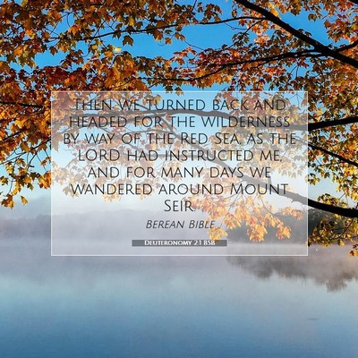 Picture 07 - Deuteronomy 2:1 BSB - Then we turned back and headed for the wilderness - Bible Verse Picture
