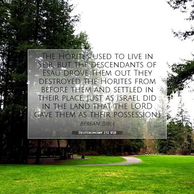 Picture 07 - Deuteronomy 2:12 BSB - The Horites used to live in Seir, but the - Bible Verse Picture