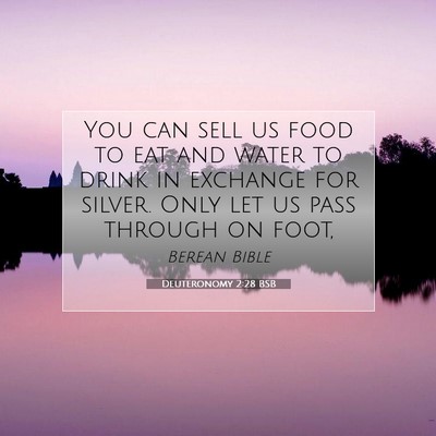Picture 07 - Deuteronomy 2:28 BSB - You can sell us food to eat and water to drink in - Bible Verse Picture